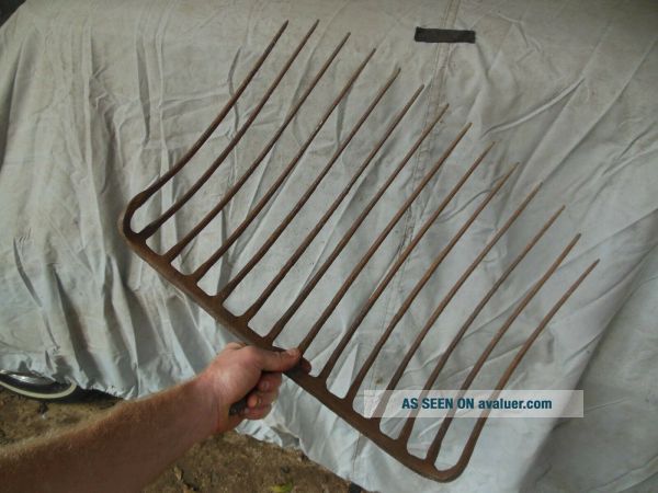 Pitch Hade Rake Huge Vintage Antique 14 Tine Hay Rake Farm Pitch Fork Tool | #45850150