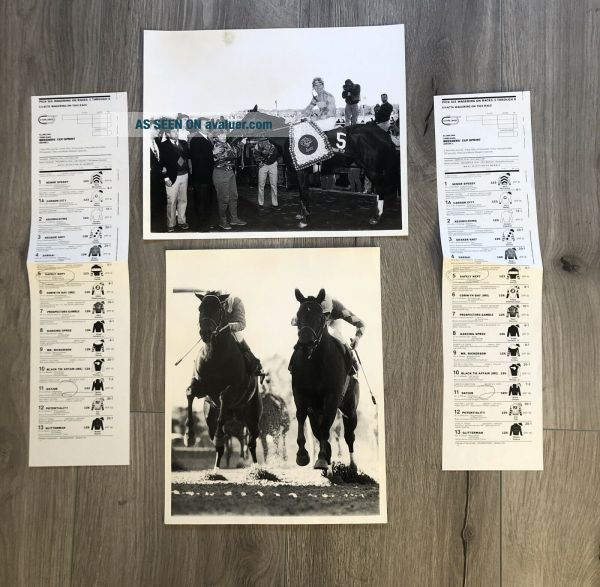 1990 Safely Kept Dayjur Perret Breeders Cup Thoroughbred Horse Race ...